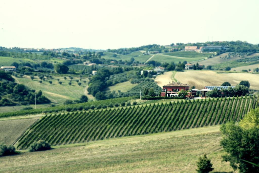 Tenuta Santini Villa Coriano Bagian luar foto